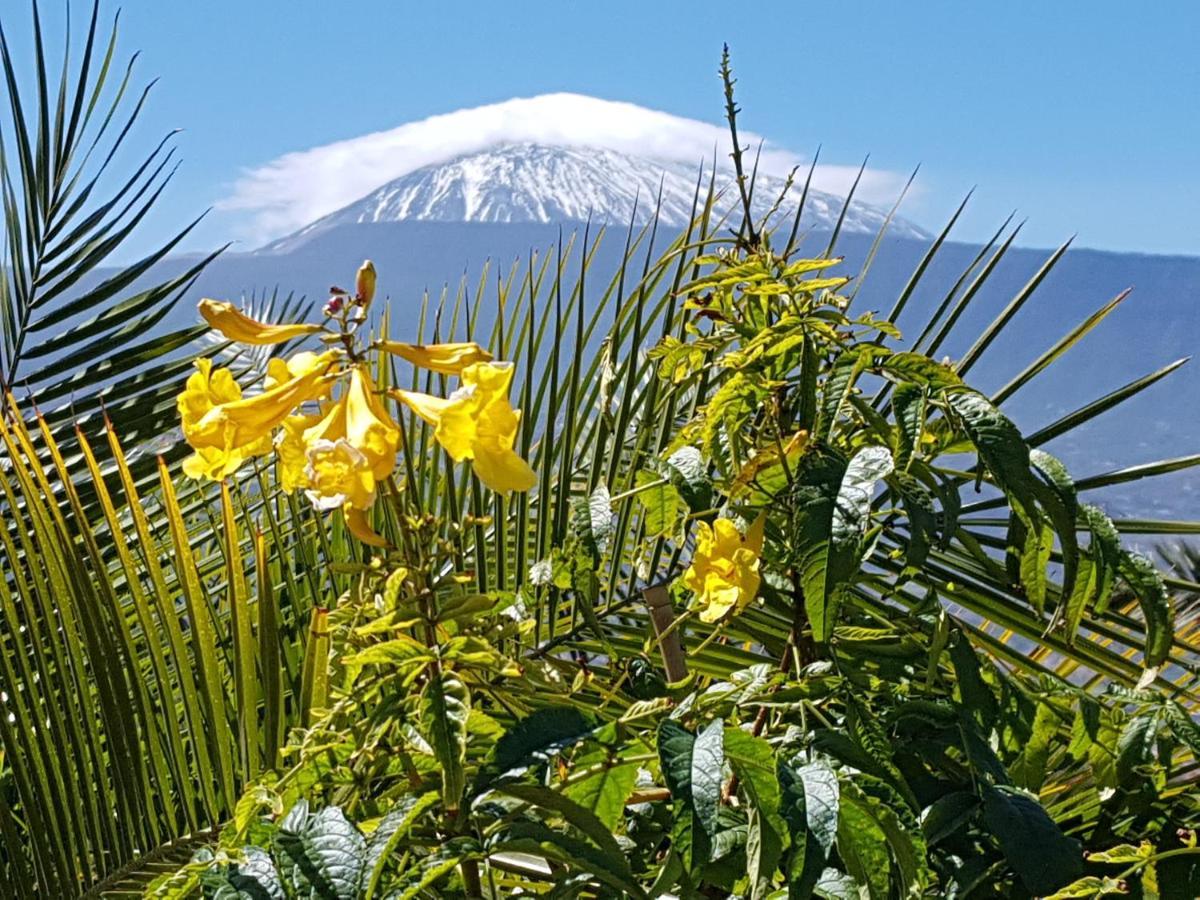 Tenerife Rooms S. C. Santa Cruz de Tenerife Bagian luar foto